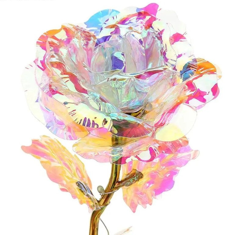Cetosy™ Galaxy Rose