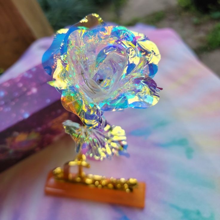 Cetosy™ Galaxy Rose