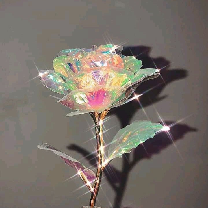 Cetosy™ Galaxy Rose