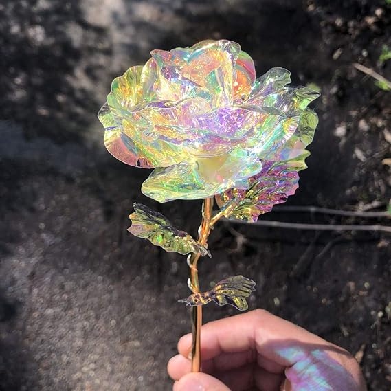 Cetosy™ Galaxy Rose