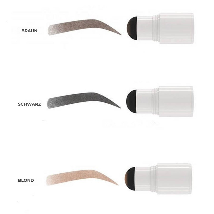 BrowMaster - Complete Eyebrow Stamping and Shaping Set
