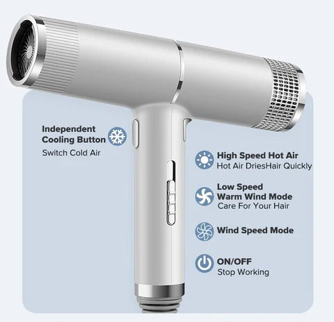 Professional Ionic Blow Hair Dryer