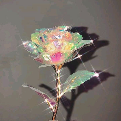 Cetosy™ Galaxy Rose