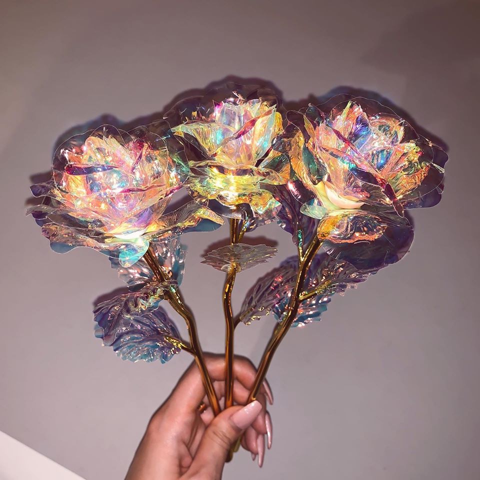 Cetosy™ Galaxy Rose