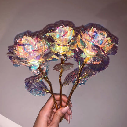 Cetosy™ Galaxy Rose
