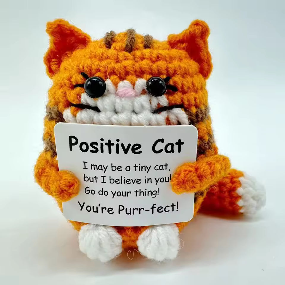 Crochet Positive Cat