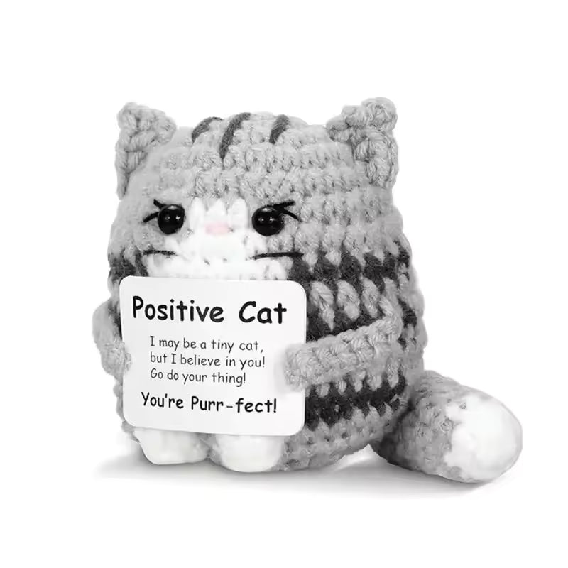 Crochet Positive Cat