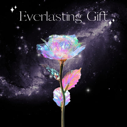 Cetosy™ Galaxy Rose